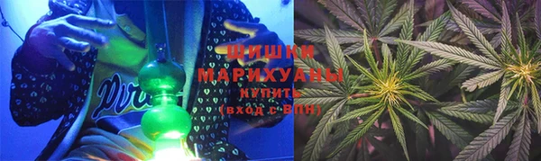 трава Гусиноозёрск
